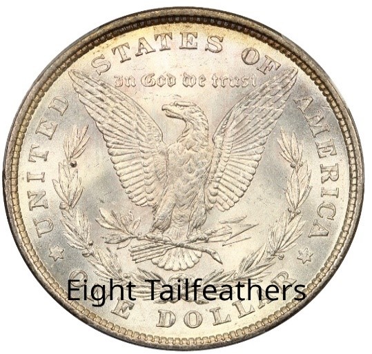 Eight Tailfeathers on Morgan Dollar Reverse