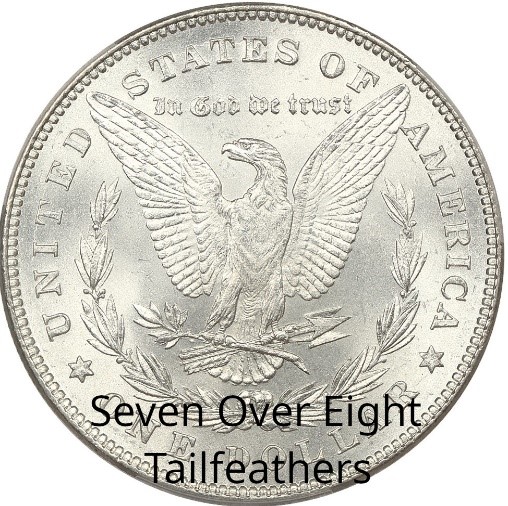 Seven over Eight Tailfeathers on Morgan Dollar Reverse