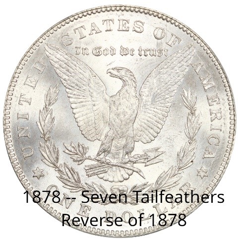 1878 Morgan Dollar - Seven Tailfeathers Reverse of 1878