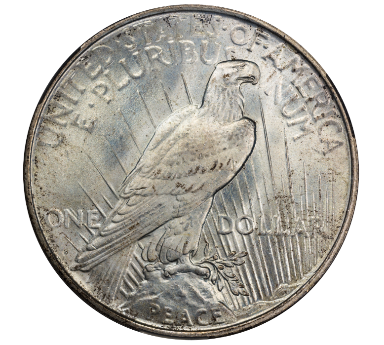 1927-D Peace Dollar Reverse