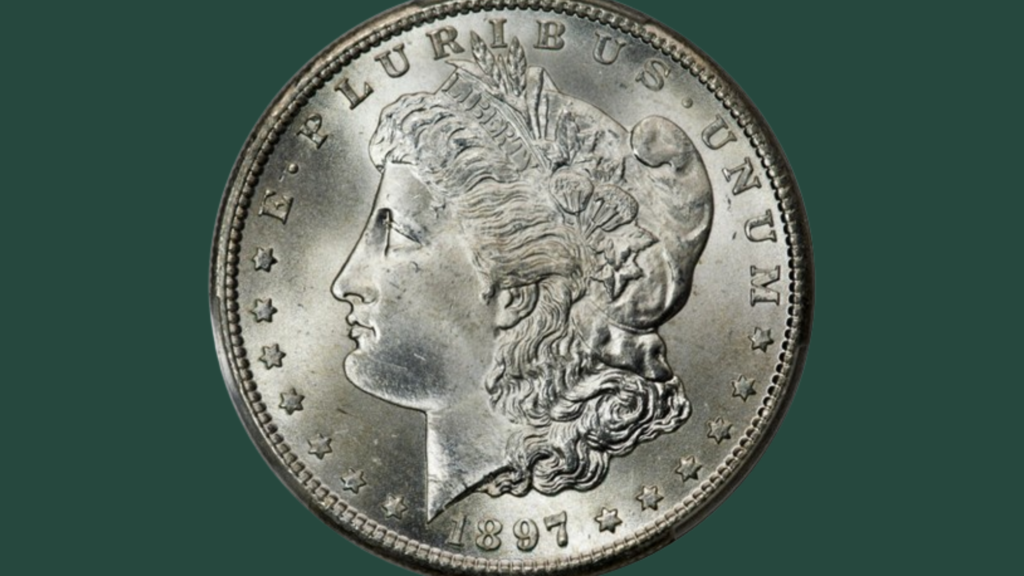 Morgan $1 Obverse on CAC Green Background