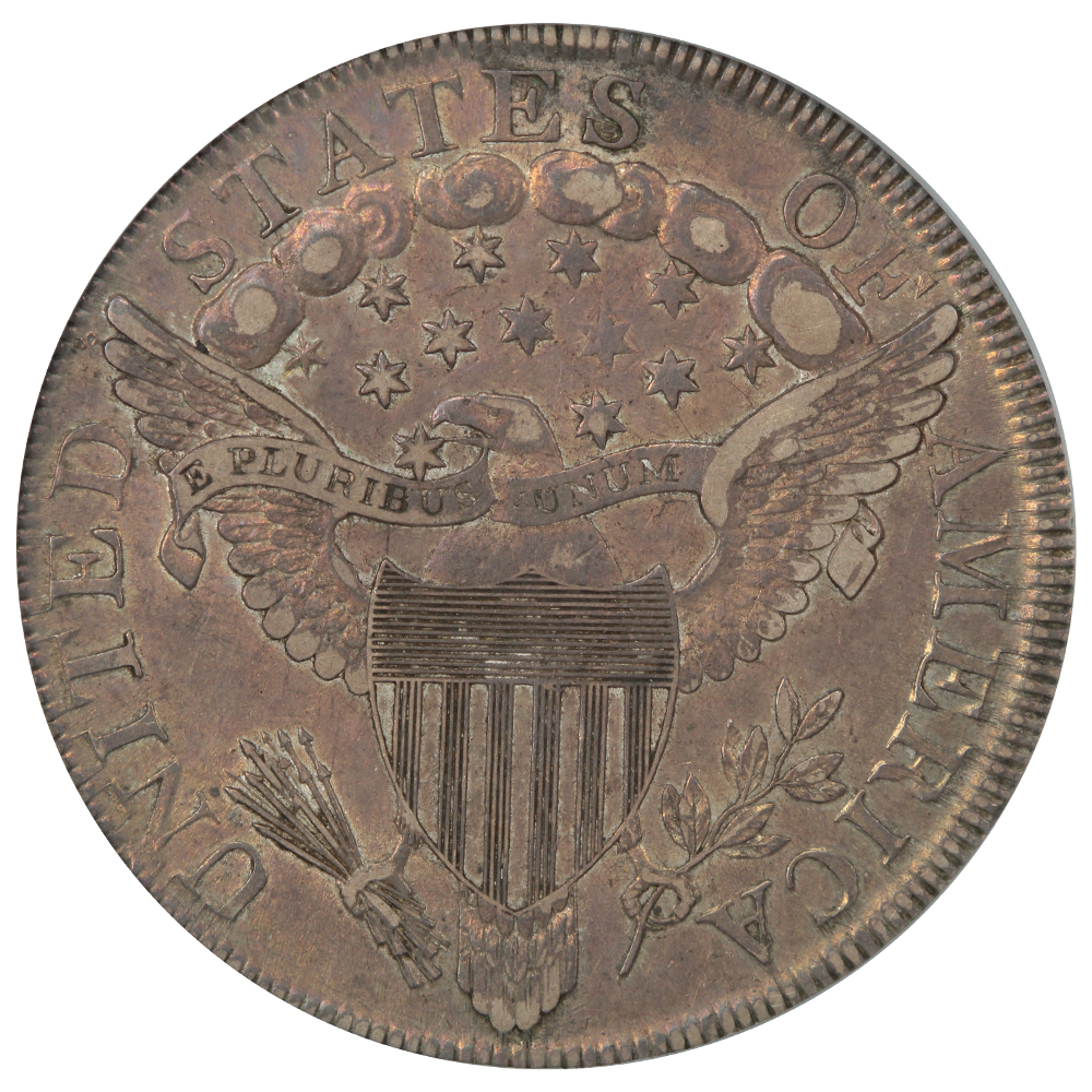 Raw reverse of a 1799 dated draped bust dollar