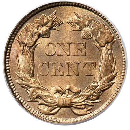 Raw Reverse of 1858 Large Letters Flying Eagle Cent