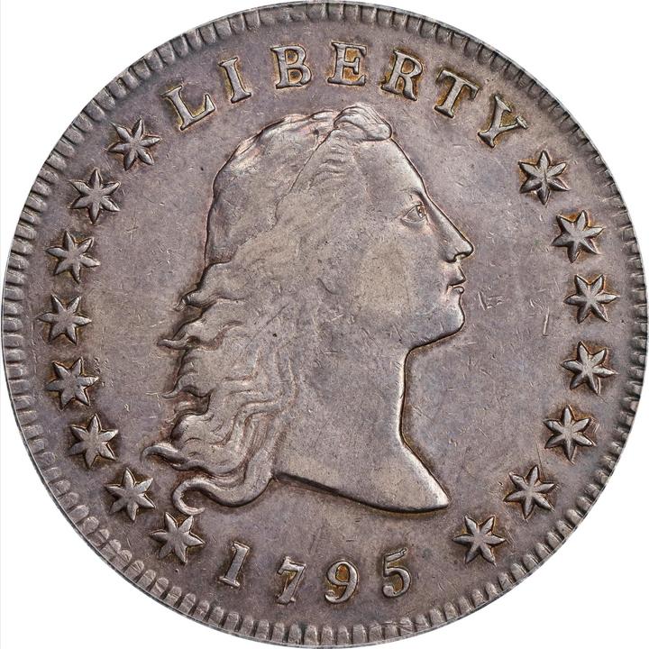 Raw obverse of 1795 Flowing Hair Dollar