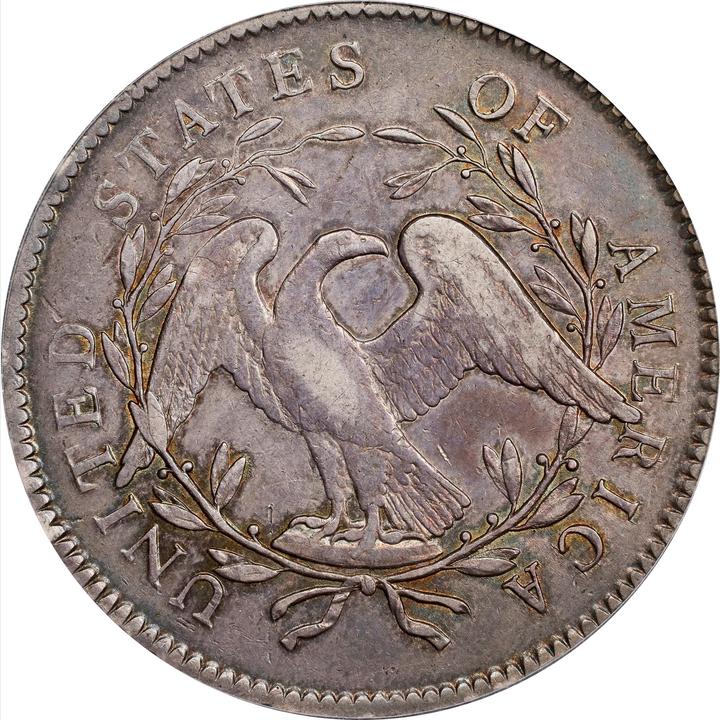 Raw reverse of 1795 Flowing Hair Dollar