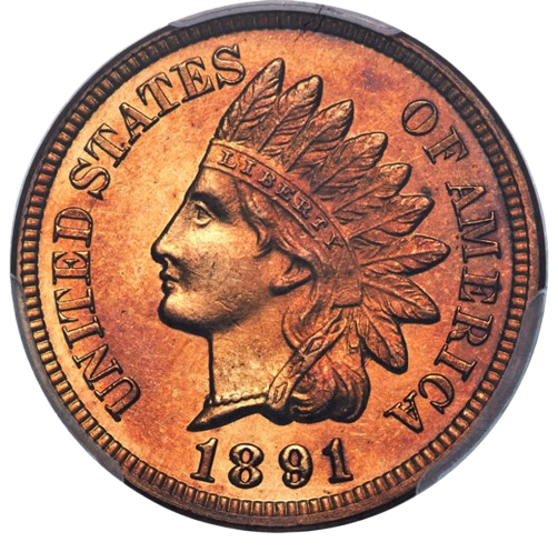 Raw Obverse of 1891 Indian Cent