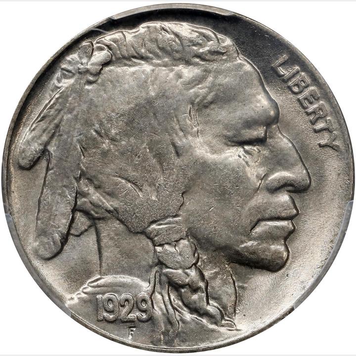 The obverse of a raw 1929-S Buffalo Nickel