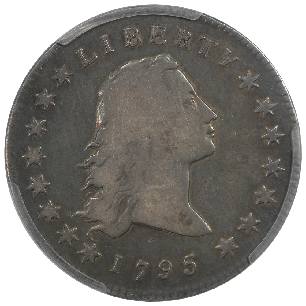 Obverse of a 1795 Two Leaves Flowing Hair Dollar