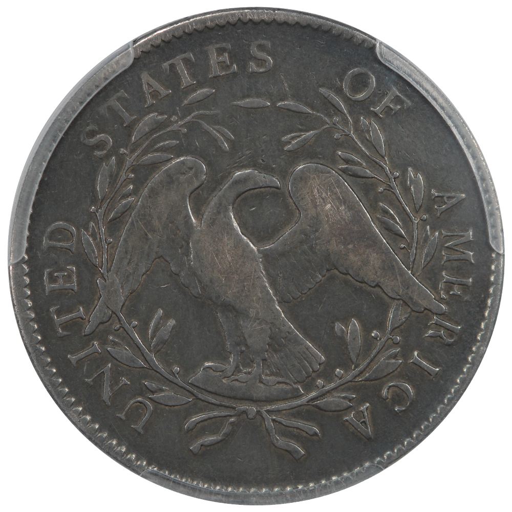 Reverse of a 1795 Two Leaves Flowing Hair Dollar