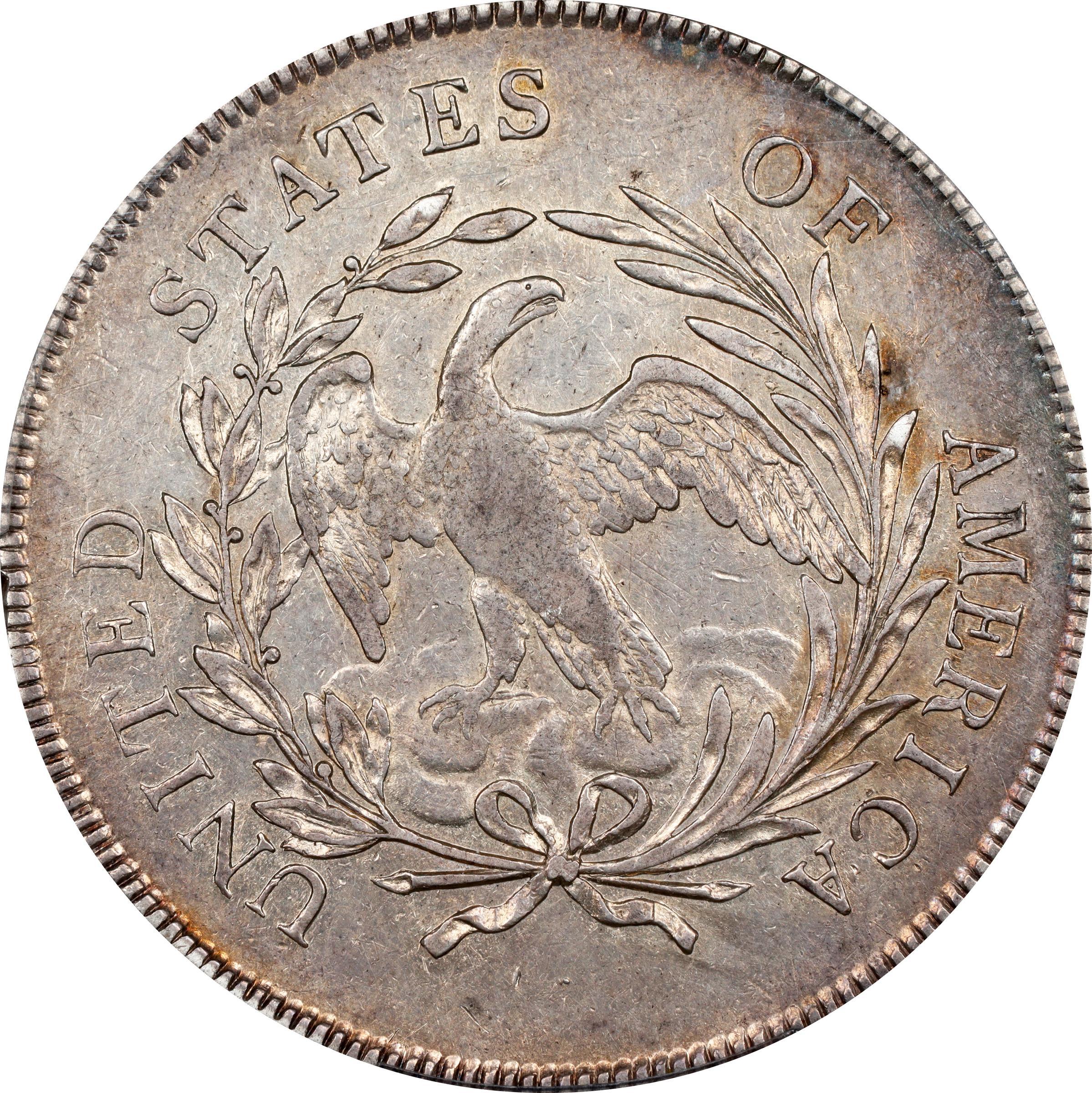 Reverse of a raw 1795 Draped Bust, Off Center Dollar
