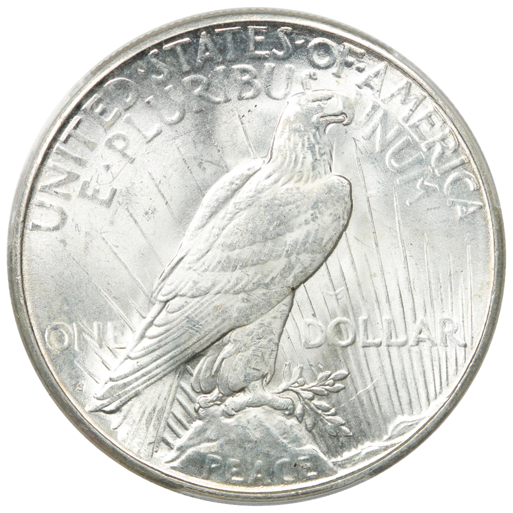 Reverse of a raw 1923-S Peace Dollar
