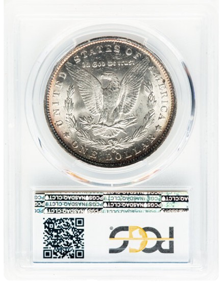 Reverse CAC slab shot of an 1891-O Morgan dollar graded an MS64