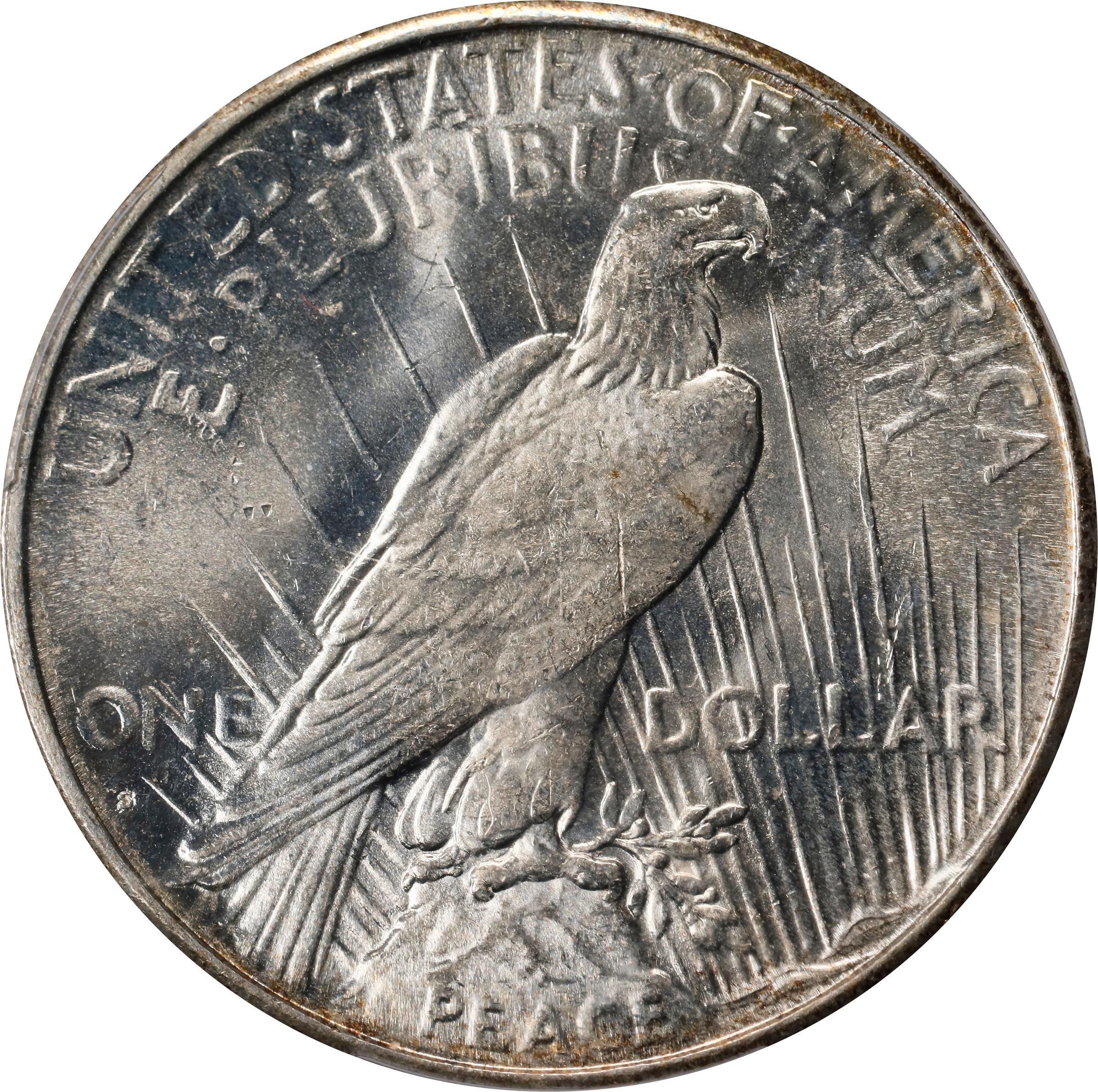 The reverse of a raw 1925-S Peace dollar graded a mint state 64
