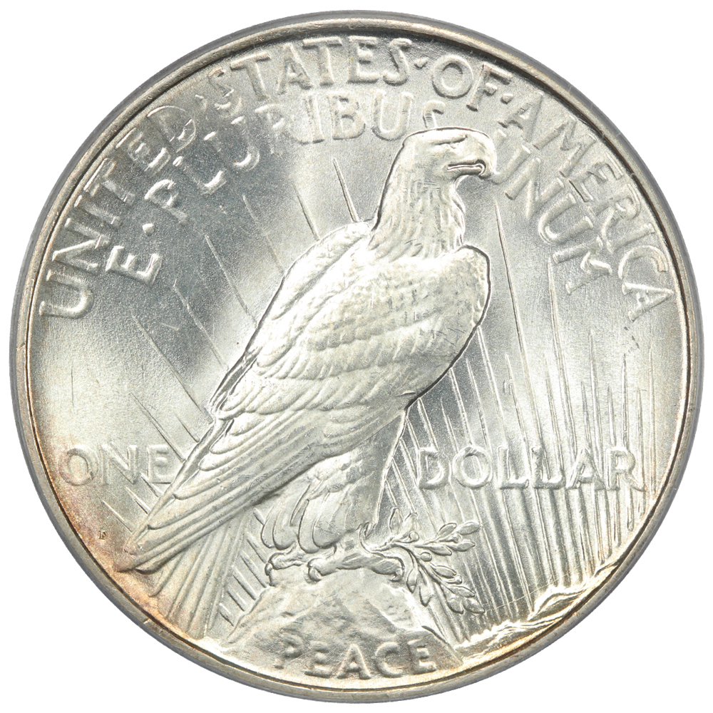 The reverse of a raw 1927-D Peace dollar graded a Mint State 65