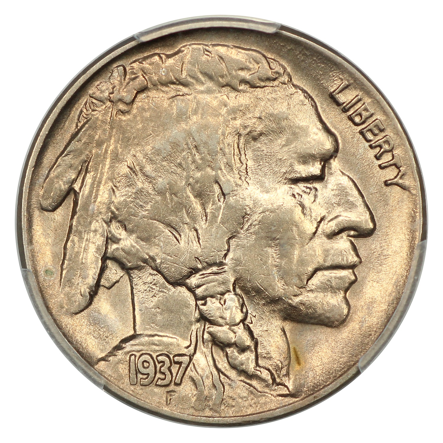 The obverse of a raw 1937-D Buffalo nickel.