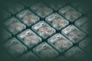 CAC Awards Excellence