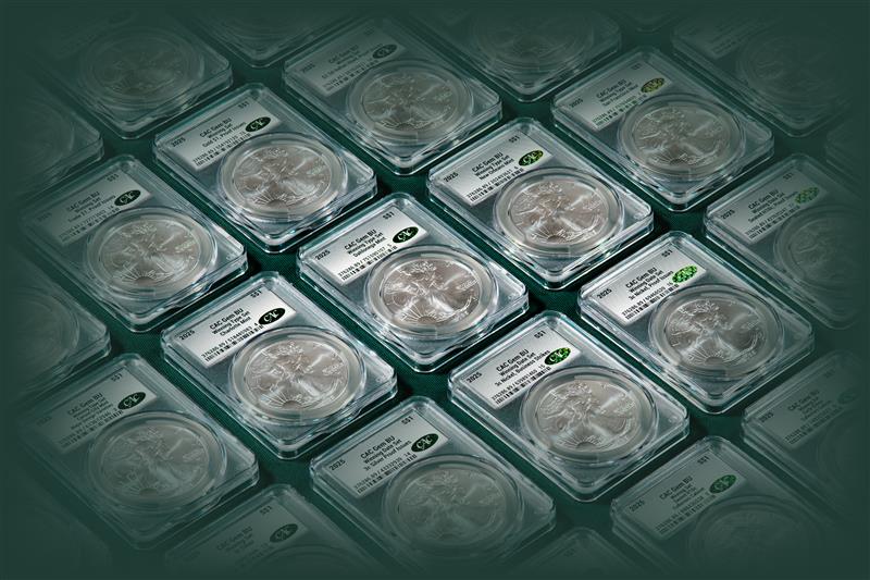 CAC Awards Excellence