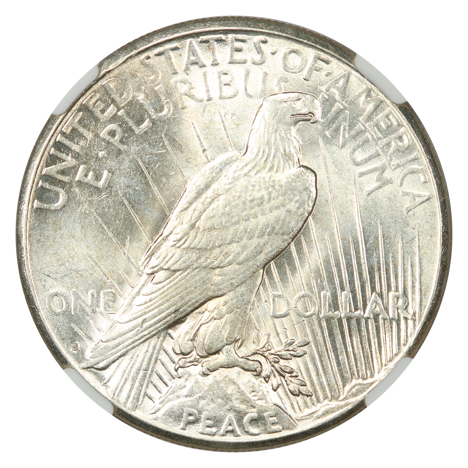 The reverse of a raw 1924-S Silver Peace Dollar.
