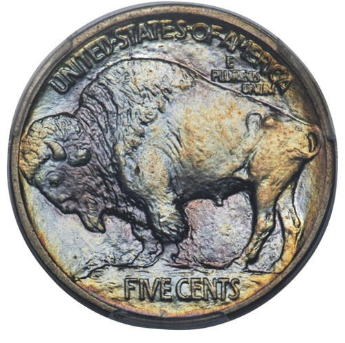 The reverse of a raw 1913 Buffalo Nickel, Type 1.