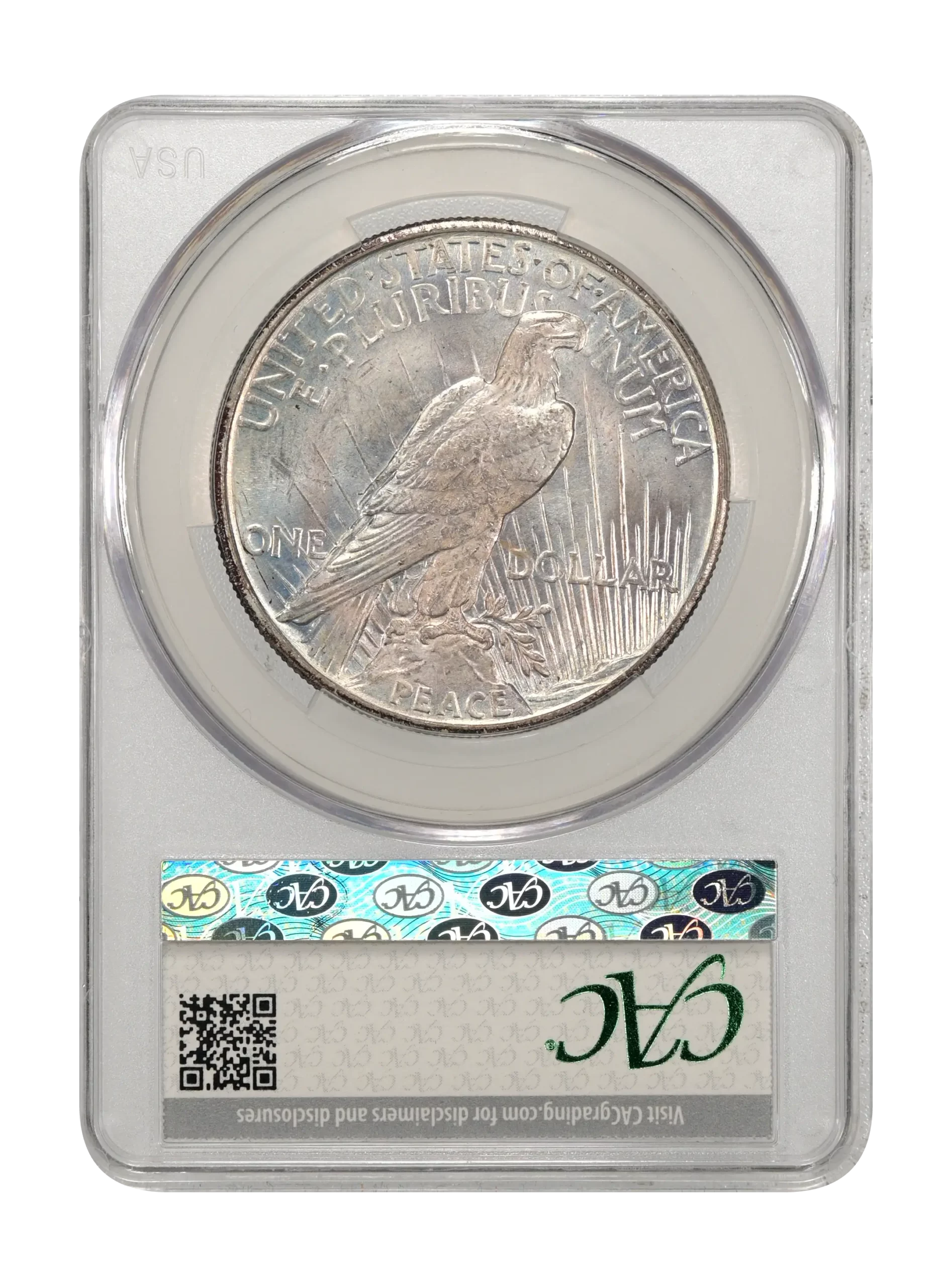 The reverse slab shot of a 1921, High-relief, Peace dollar graded a mint state 65 by CAC Grading.